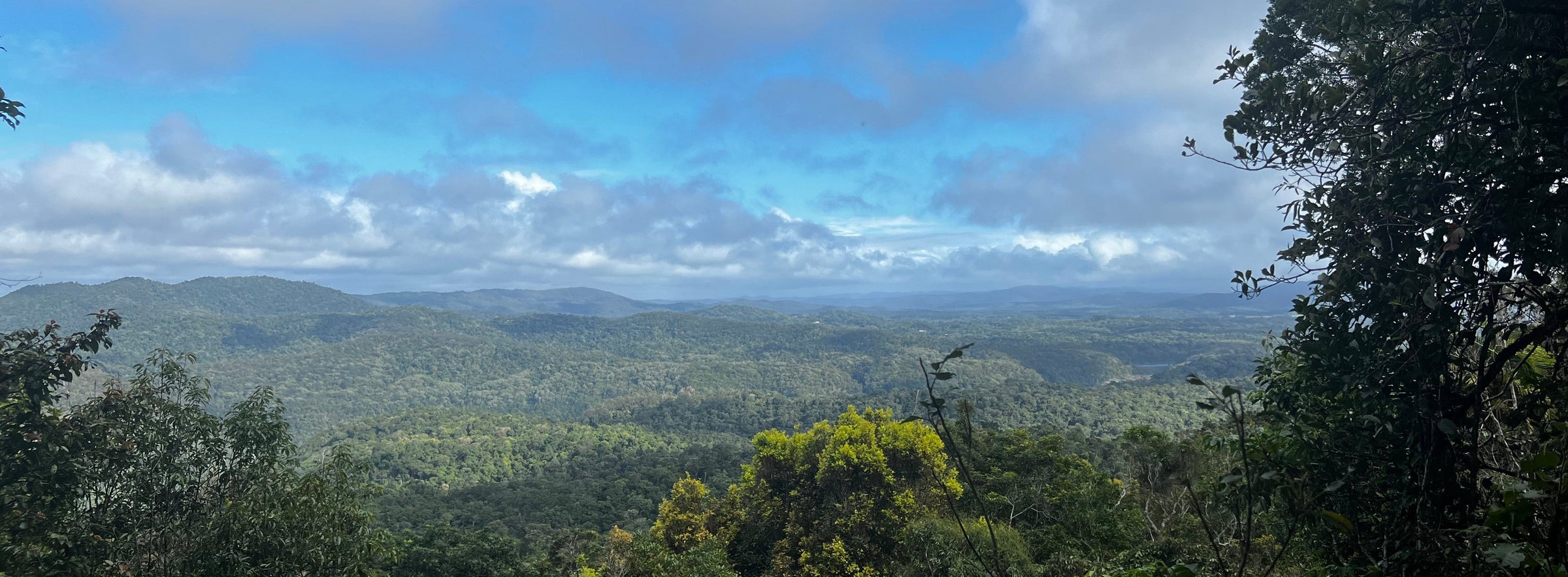 Scenic view of a forested landscape with a blue sky and clouds.